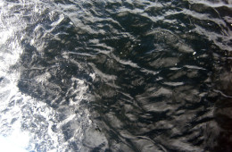 Deep Notes, Quick Pace | Preview of Fleeting Moments of Fierce Clarity