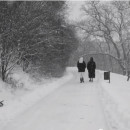 Book Trailer for Gray Areas by Carmen Burcea-Haber