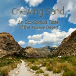 Chewing_sand_Web_Cov