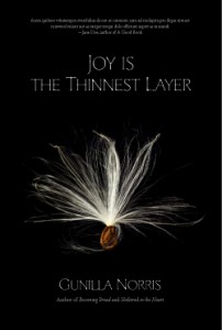 Joy is the Thinnest Layer_Mock_final_sm