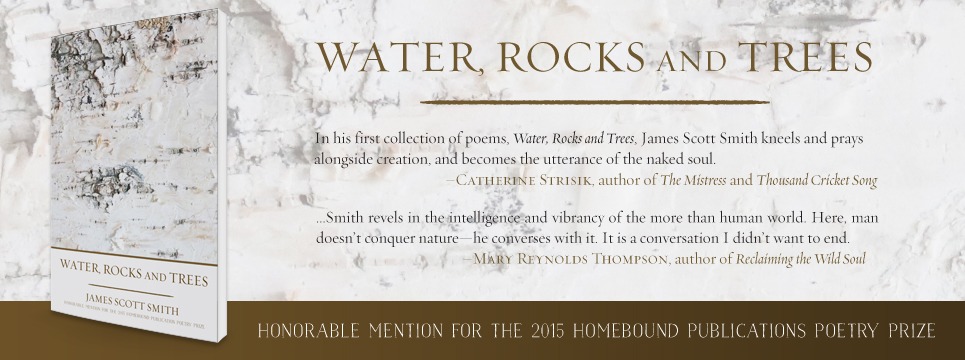 Water, Rocks and Trees by James Scott Smith