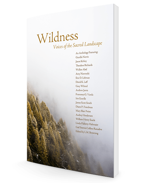 Wildness: Voices of the Sacred Landscape | An Anthology